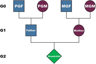 Investigating Possible Trans/Intergenerational Associations With Obesity in Young Adults Using an Exposome Approach